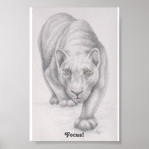 Póster ¡Foco!