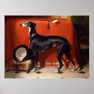 Póster FOE, un galgo preferido del Príncipe Alberto