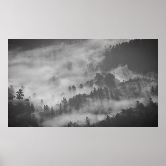 PÓSTER FOGAS DEVORANDO UN BOSQUE (Frente)