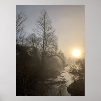Póster Foggy Morning HG