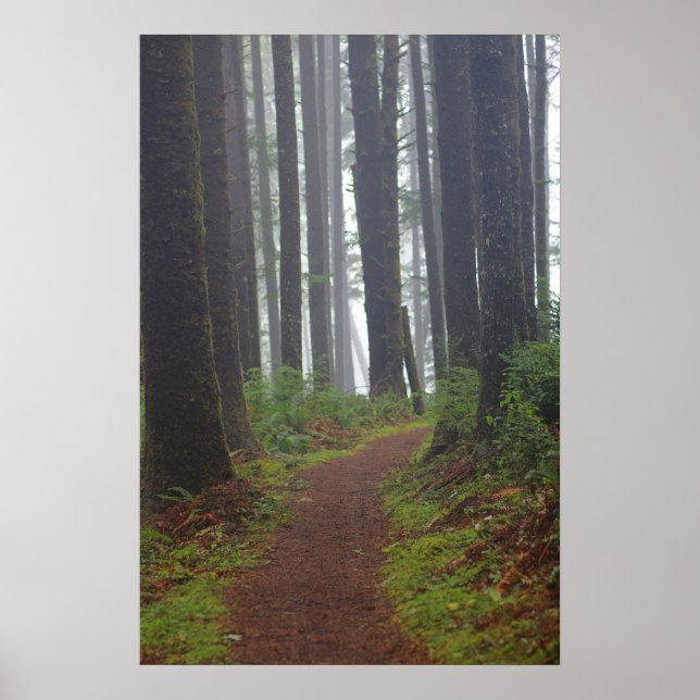 Póster Foggy morning, (Semi-Gloss) (Frente)