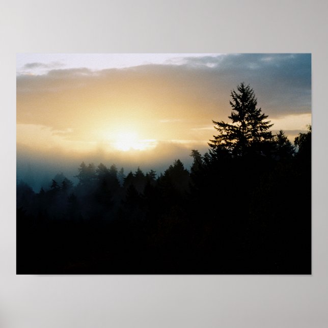 Póster Foggy Northwest sunrise poster (Frente)