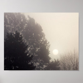 Póster Foggy Sunrise