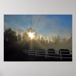 Póster Foggy Sunrise