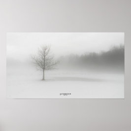 Póster Foggy Winscape Poster Monocromo