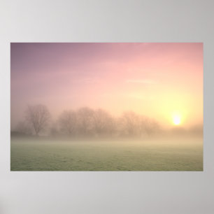 Póster Foggy Winter Sunrise (6598)   Poster