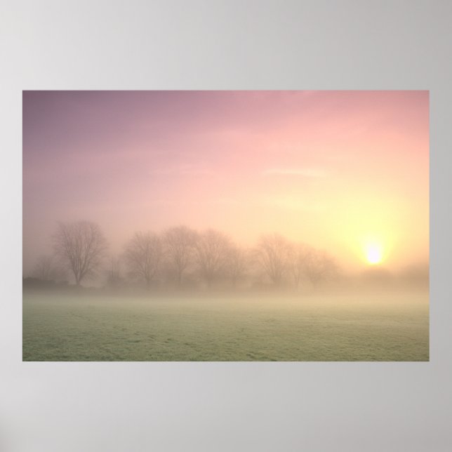 Póster Foggy Winter Sunrise (6598)   Poster (Frente)