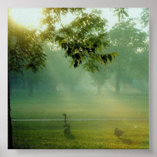 Póster foggygeese