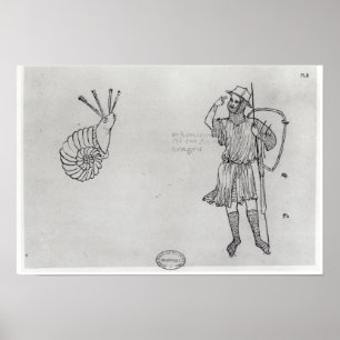 Póster Fol.2 Caracol y soldado húngaro