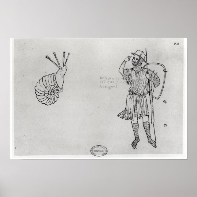 Póster Fol.2 Caracol y soldado húngaro (Frente)