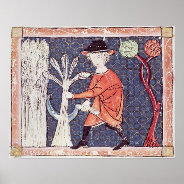 Póster Fol.58v Julio: La cosecha (Frente)