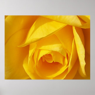 Póster Folds amarillos