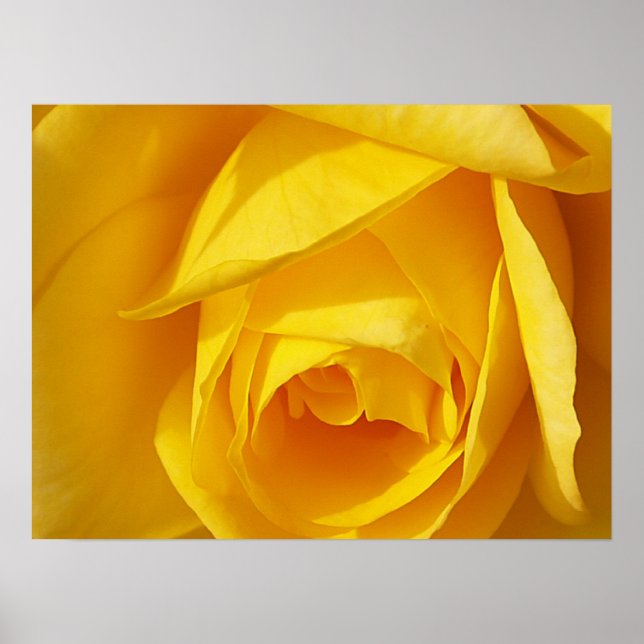 Póster Folds amarillos (Frente)