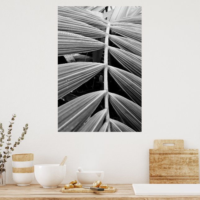Póster folha de palmeira (Cocina)