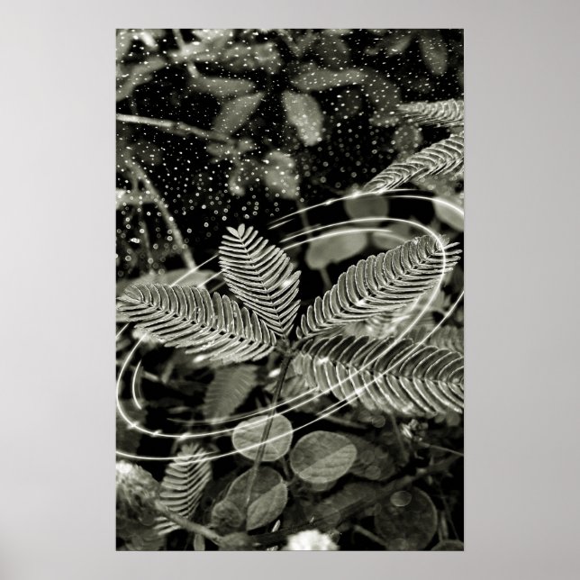 Póster Folhas - Green (Frente)