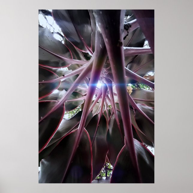 Póster folhas roxas (Frente)