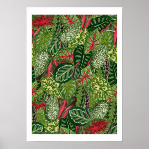 Póster Foliage