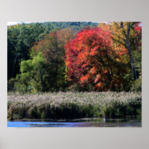 Póster Foliage Caída Bordeando Un Efecto Orton Marsh