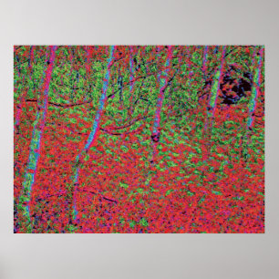 Póster Foliage de otoño d5