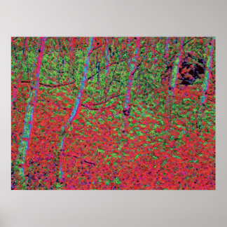 Póster Foliage de otoño d5