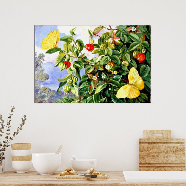 Póster Foliage, flores y fruta de Pitanga, Jamaica (Cocina)