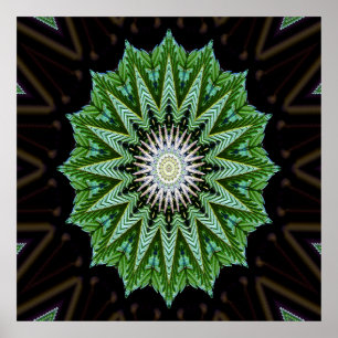 Póster Foliage Mandala.........