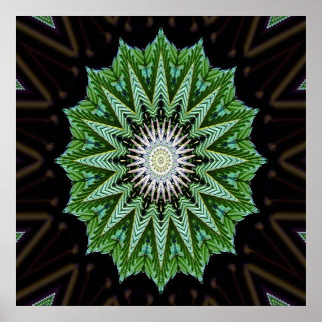Póster Foliage Mandala......... (Frente)