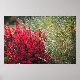 Póster Foliage rojo y verde