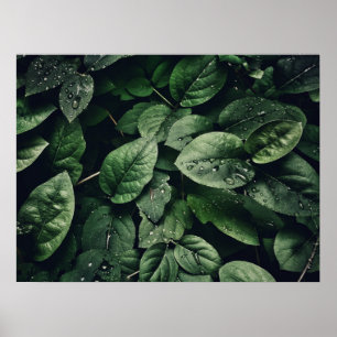 Póster Folito de hoja verde profunda