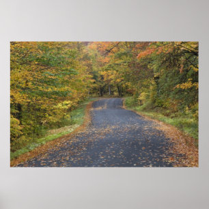 Póster Follaje de caída de la carretera, Southern Vermont