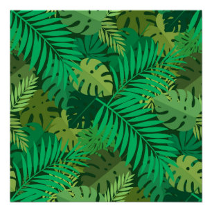 Póster Follaje exuberante de la selva tropical