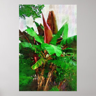 Póster Follaje tropical de plátanos - Caminar por el Jard