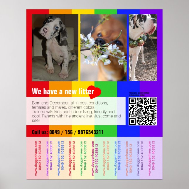 Póster Folleto de cachorro a la venta con código QR (Frente)