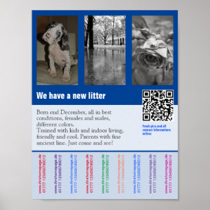 Póster Folleto de cachorro a la venta con código QR