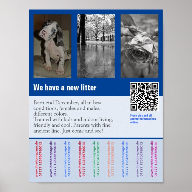 Póster Folleto de cachorro a la venta con código QR (Frente)