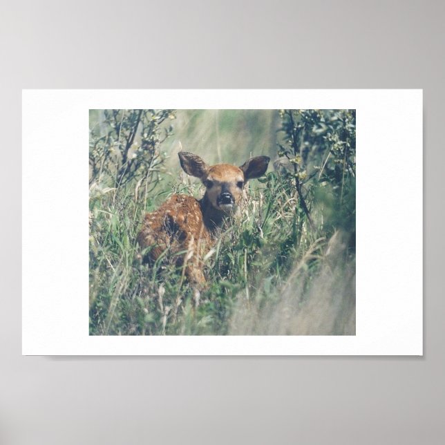 Póster Follow Me. (Frente)