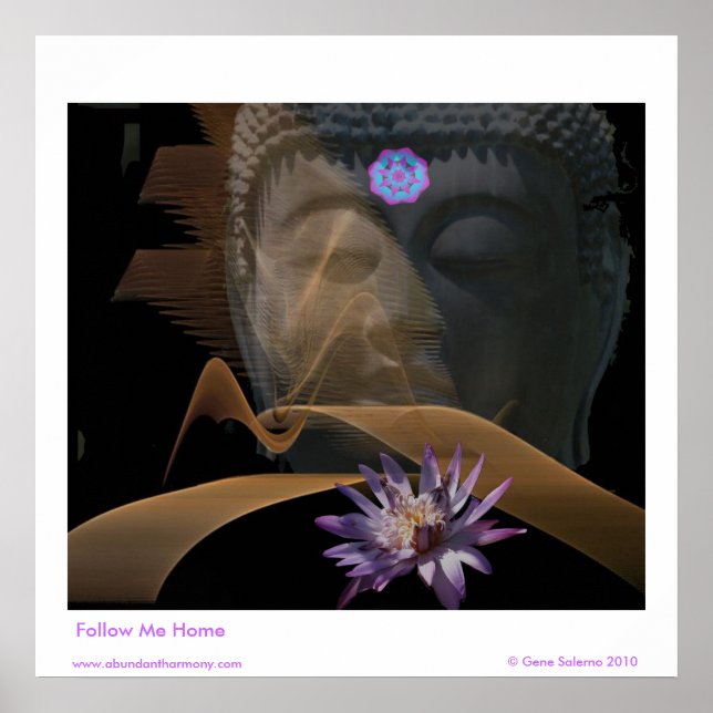 Póster Follow Me Home (Frente)