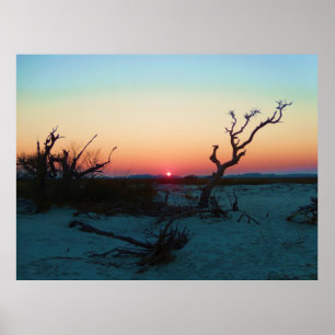 Póster Folly Beach Sunset
