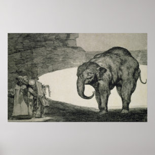 Póster Folly of Beasts