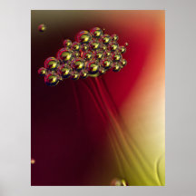 Fondo colorido de burbujas abstractas flotantes