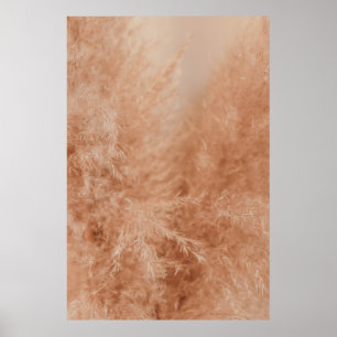 Póster Fondo de color marrón