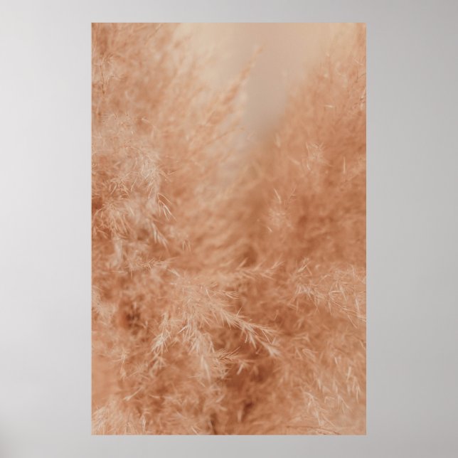 Póster Fondo de color marrón (Frente)