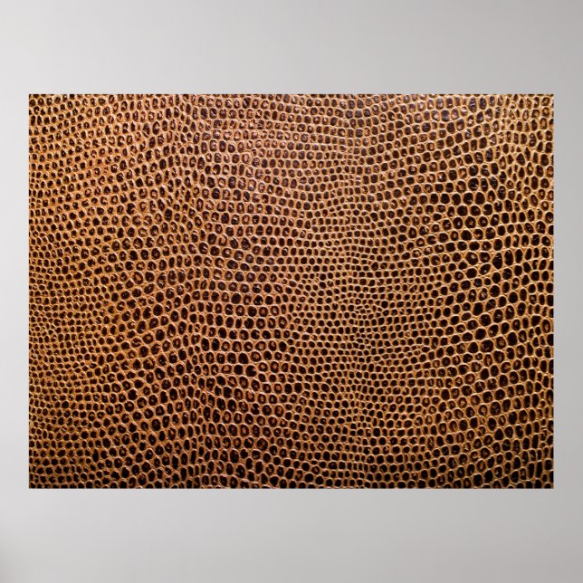 Póster fondo de cuero oscuro (Frente)