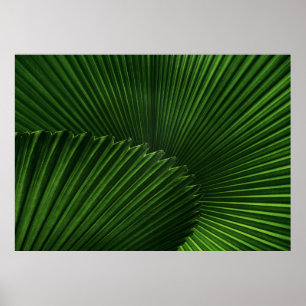 Póster Fondo de hoja