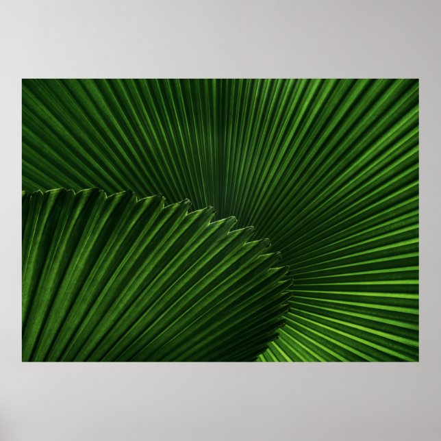 Póster Fondo de hoja (Frente)