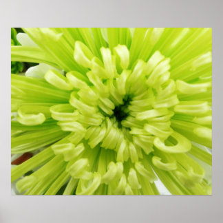 Póster Fondo de la Mamá de Fútbol Neon Green Flower Close