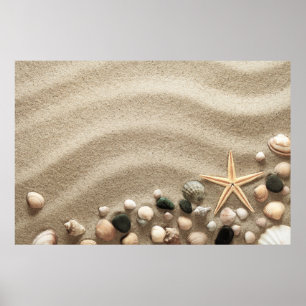 Póster Fondo de la playa de Sandy con las cáscaras y las