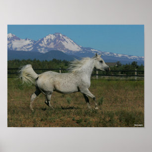 Póster Fondo de las montañas árabes gris de Bob Langris