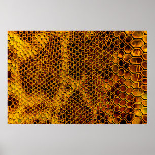 Póster Fondo de piel de serpiente