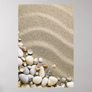 Póster Fondo De Playa De Arena Con conchas Y Piedras